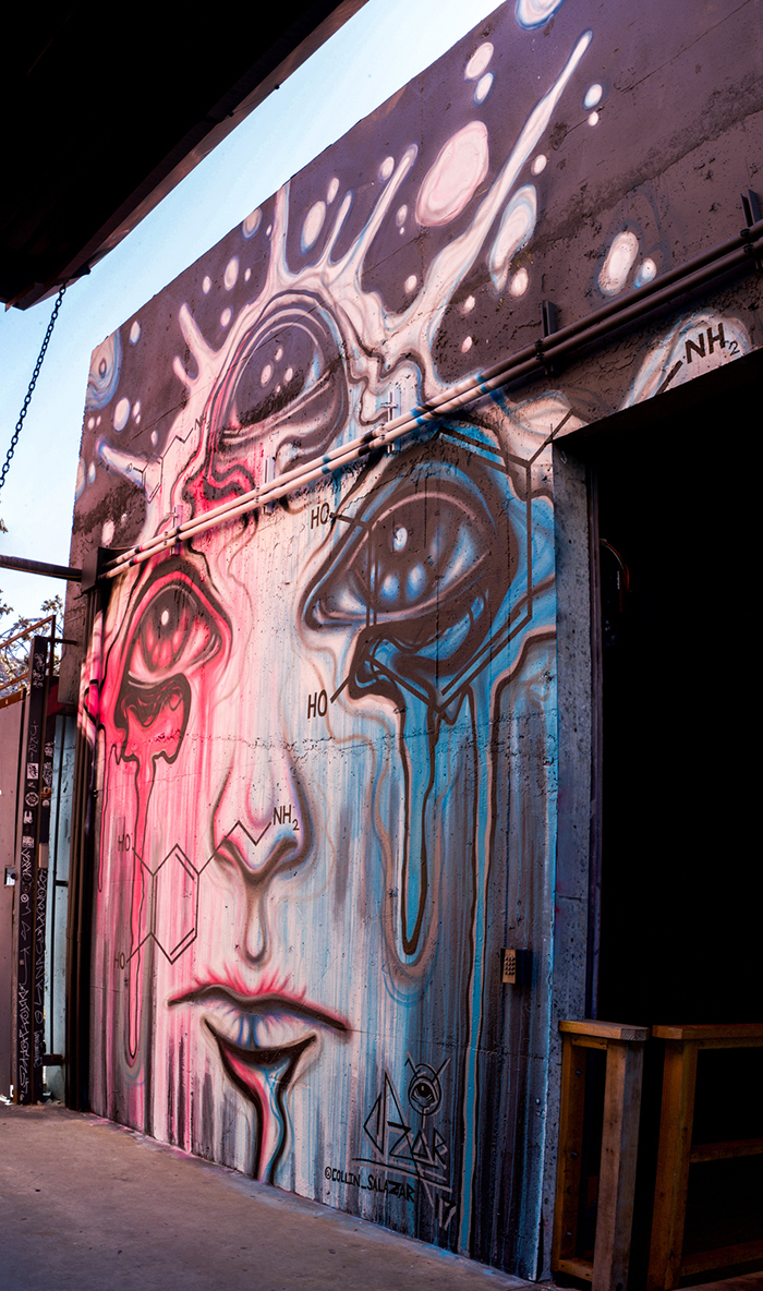 Collin Salazar | Mural Fest | Worldwide UnderGround