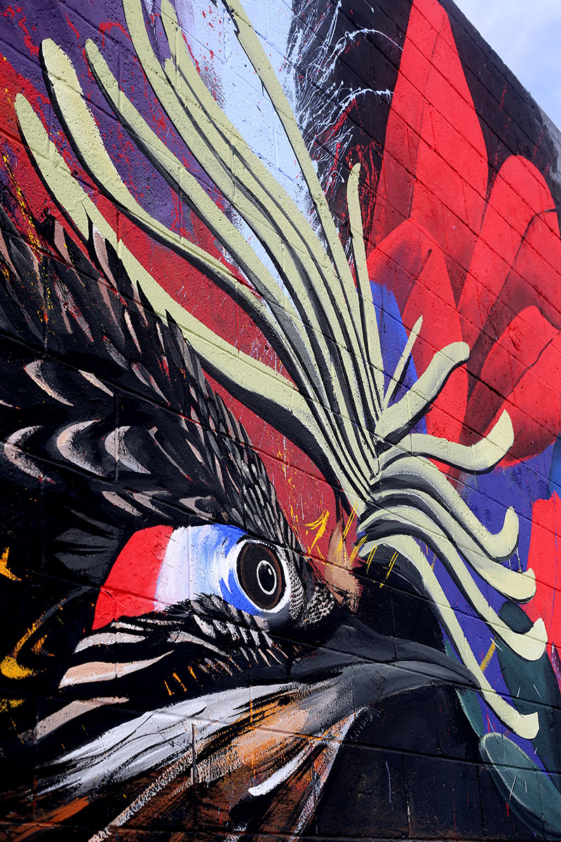 Felipe Ortiz | Mural Fest | Worldwide UnderGround