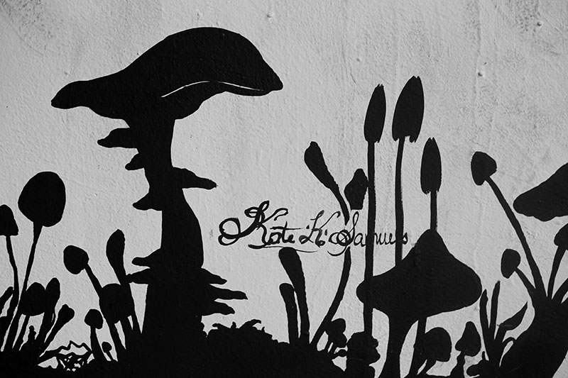 Kait Samuels | Mural Fest | Worldwide UnderGround