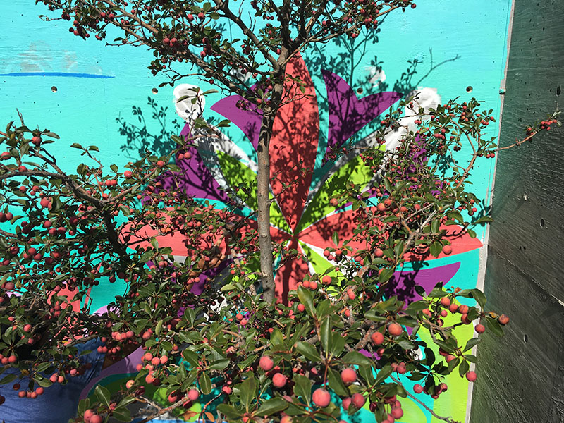 Lynnette Haozous | Mural Fest | Worldwide UnderGround